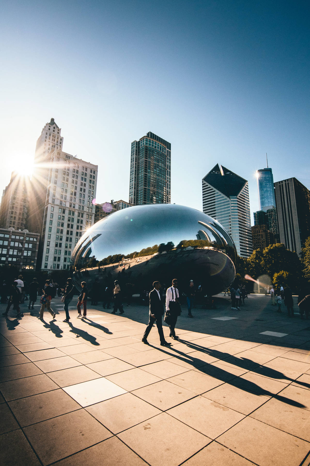 Sunny The Bean Chicago