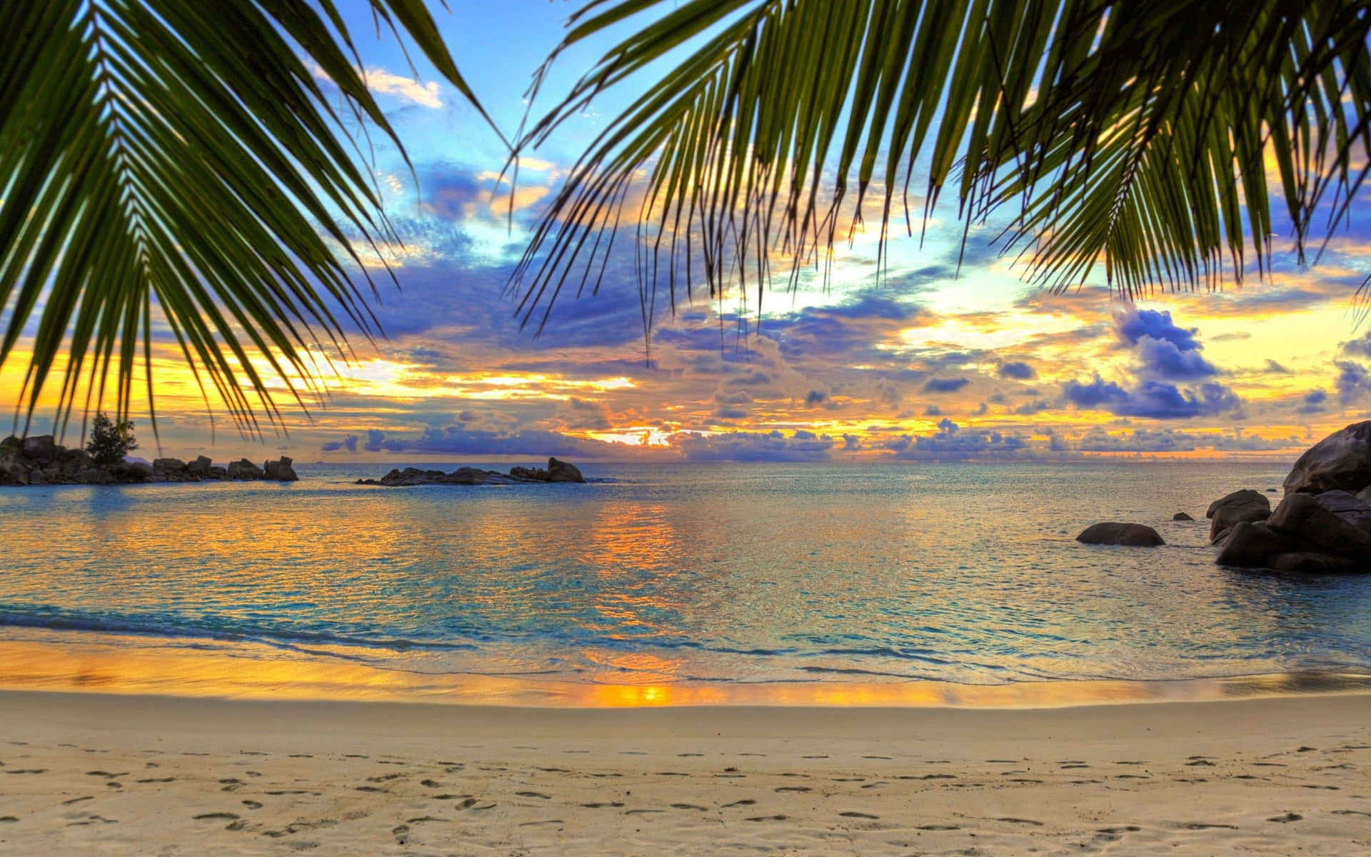 Sunny Tropical Beach Background