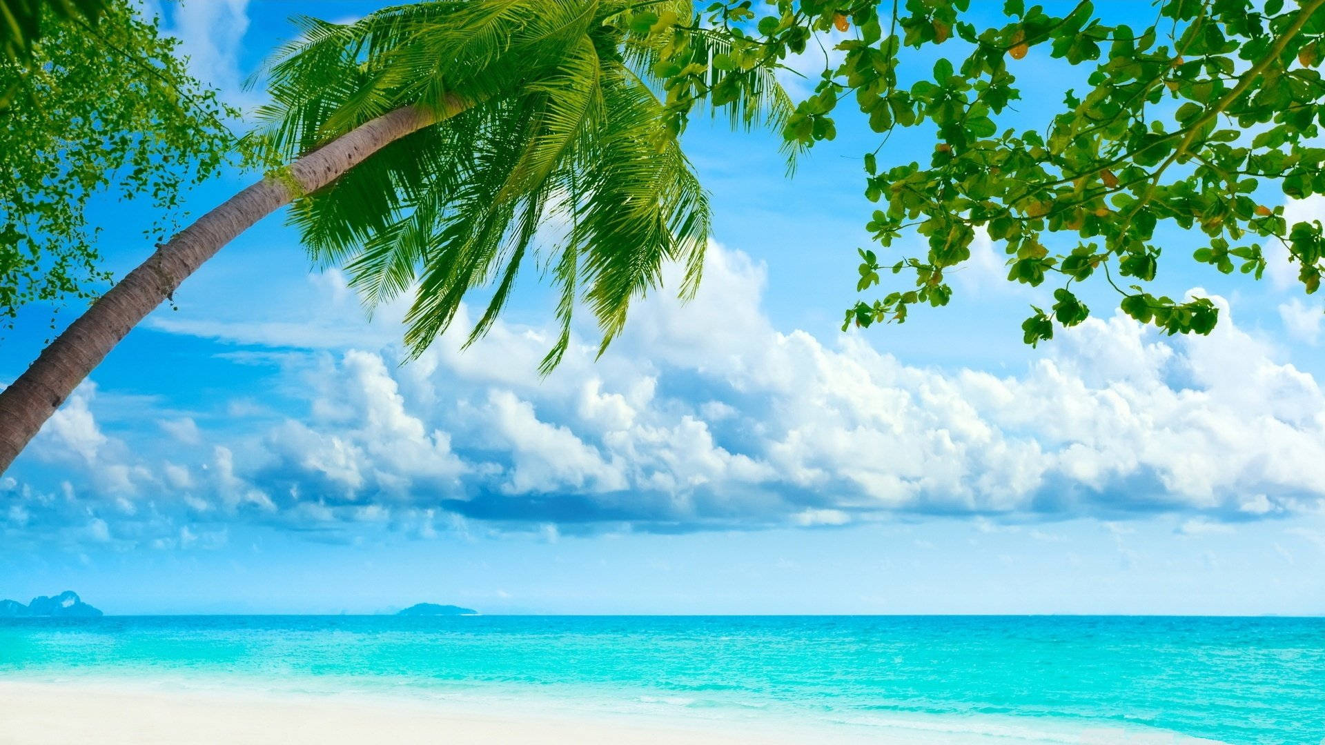 Sunny Tropical Seashore Area Background