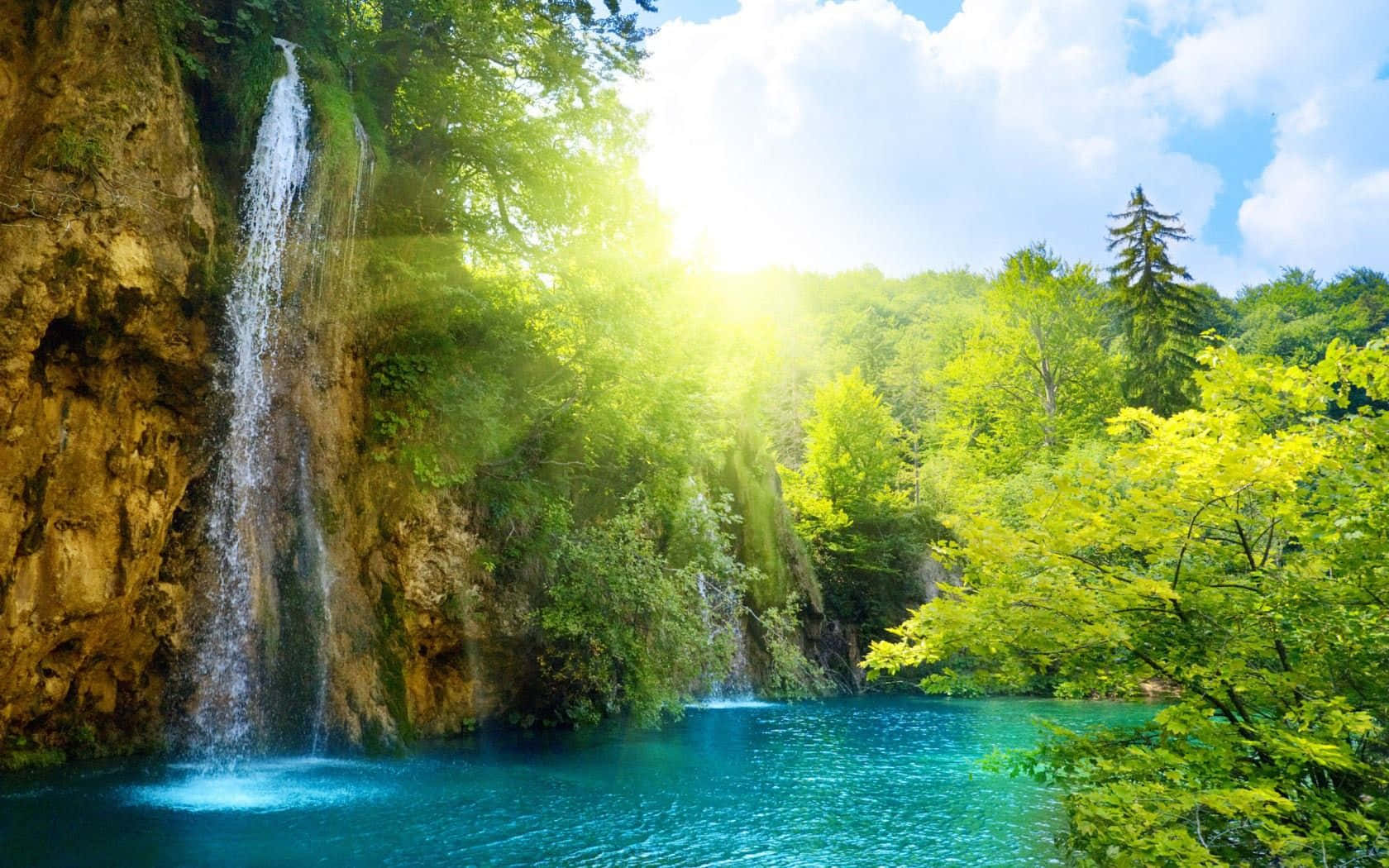 Sunny Waterfall Paradise