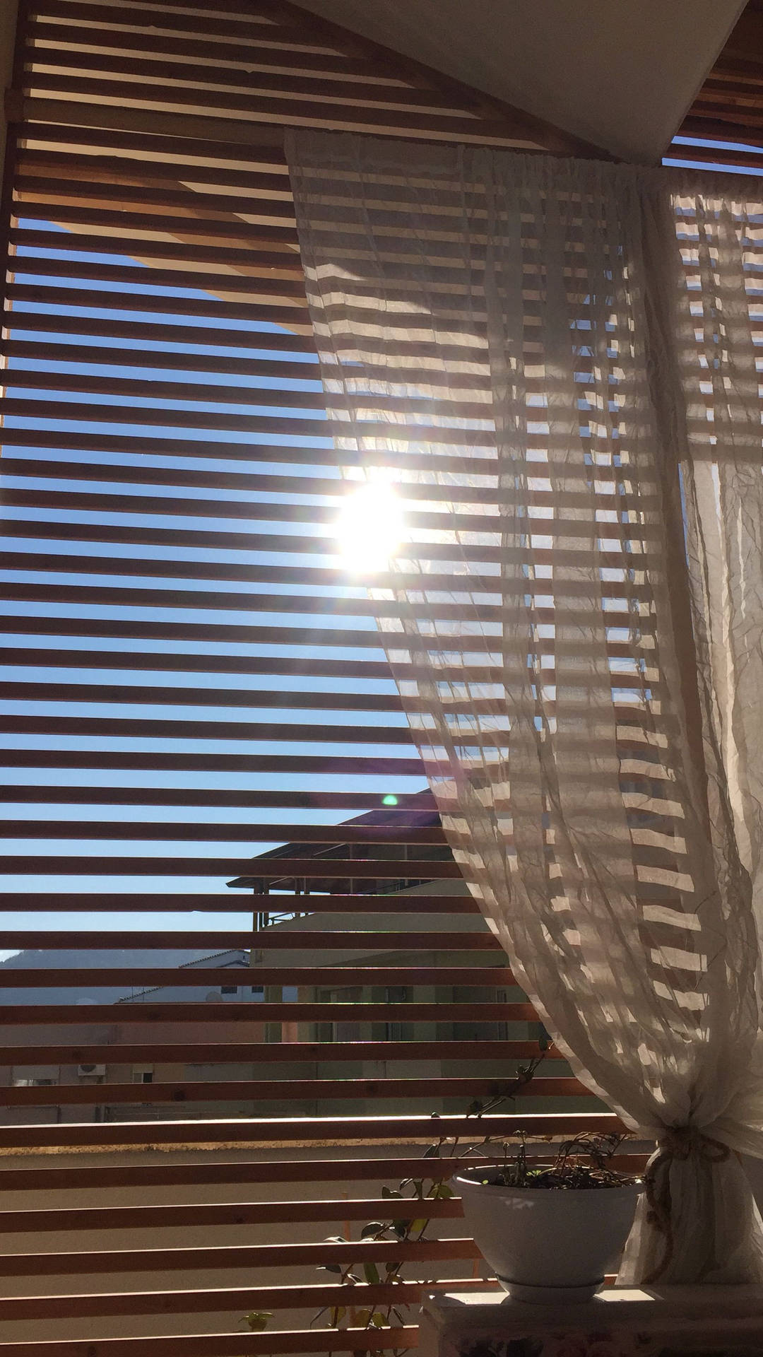 Sunny Window View In Tan Aesthetic