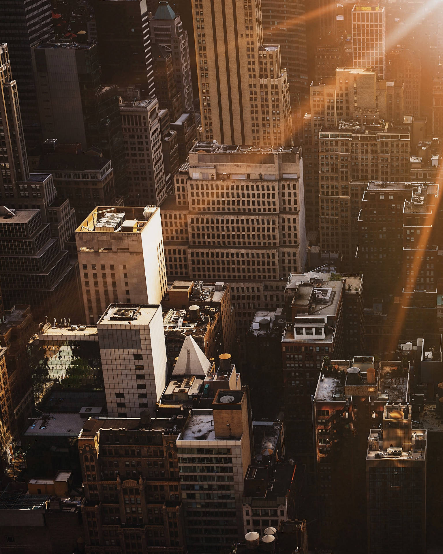 Sunrays On 4k New York City Background