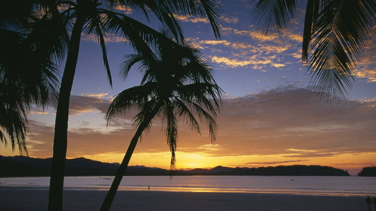 Sunrise At Costa Rica Beach Background