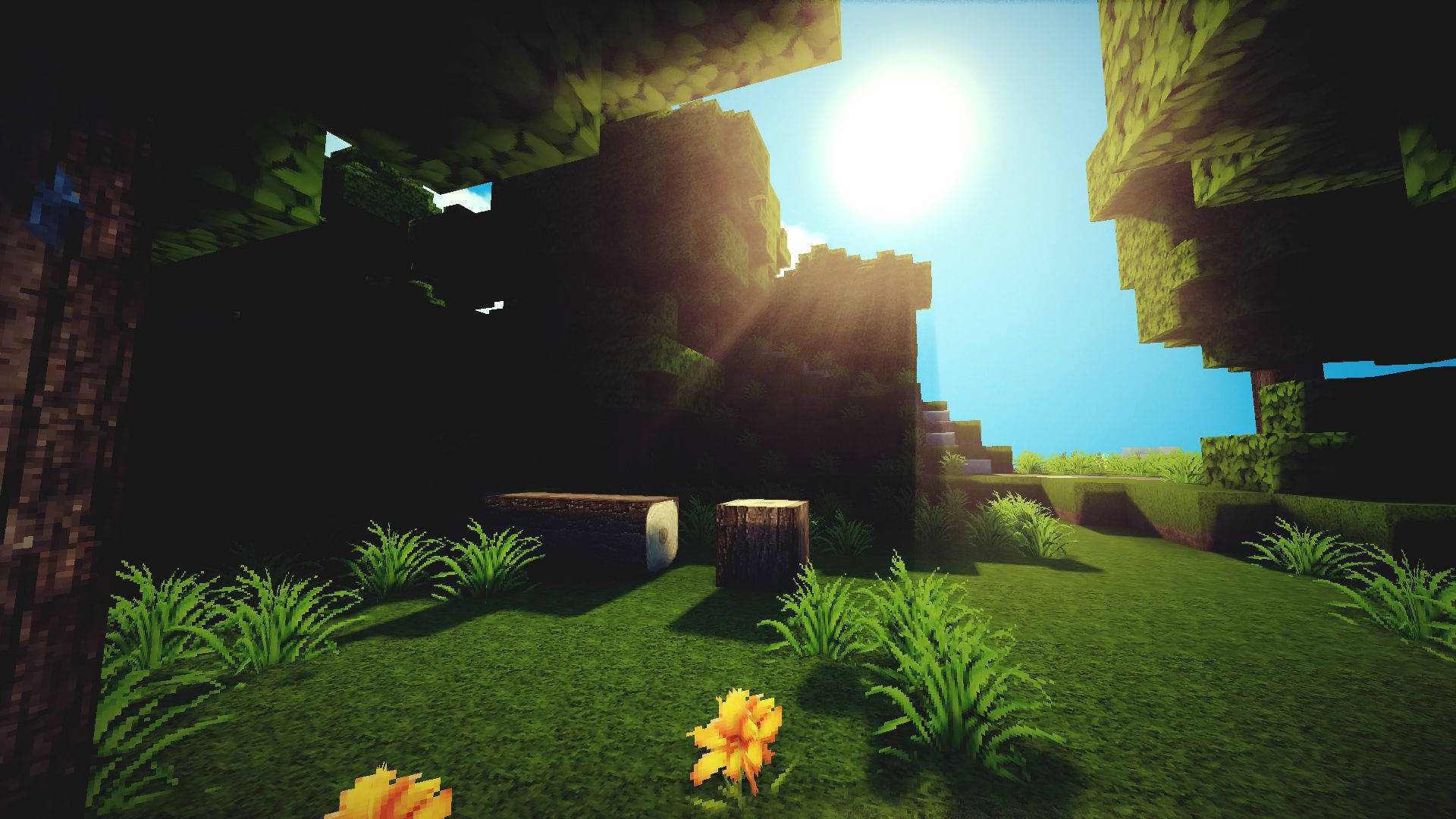 Sunrise In Forest Minecraft Hd Background