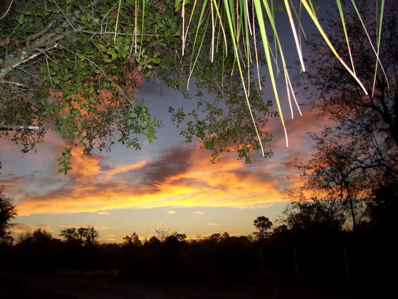 Sunrise Nature In Florida Background