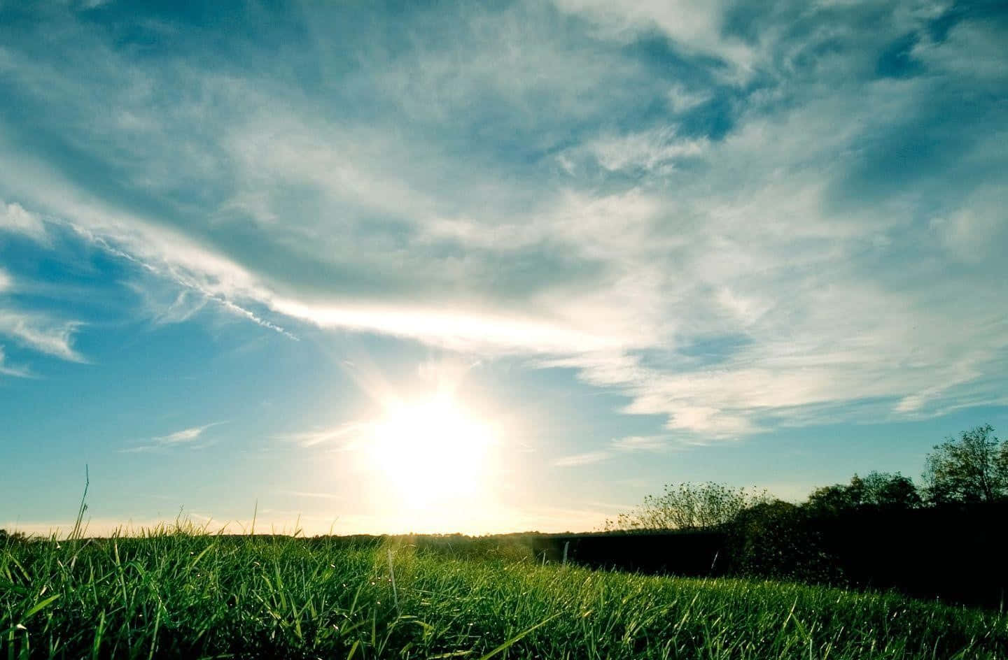 Sunrise Over Grassy Field Sky Background