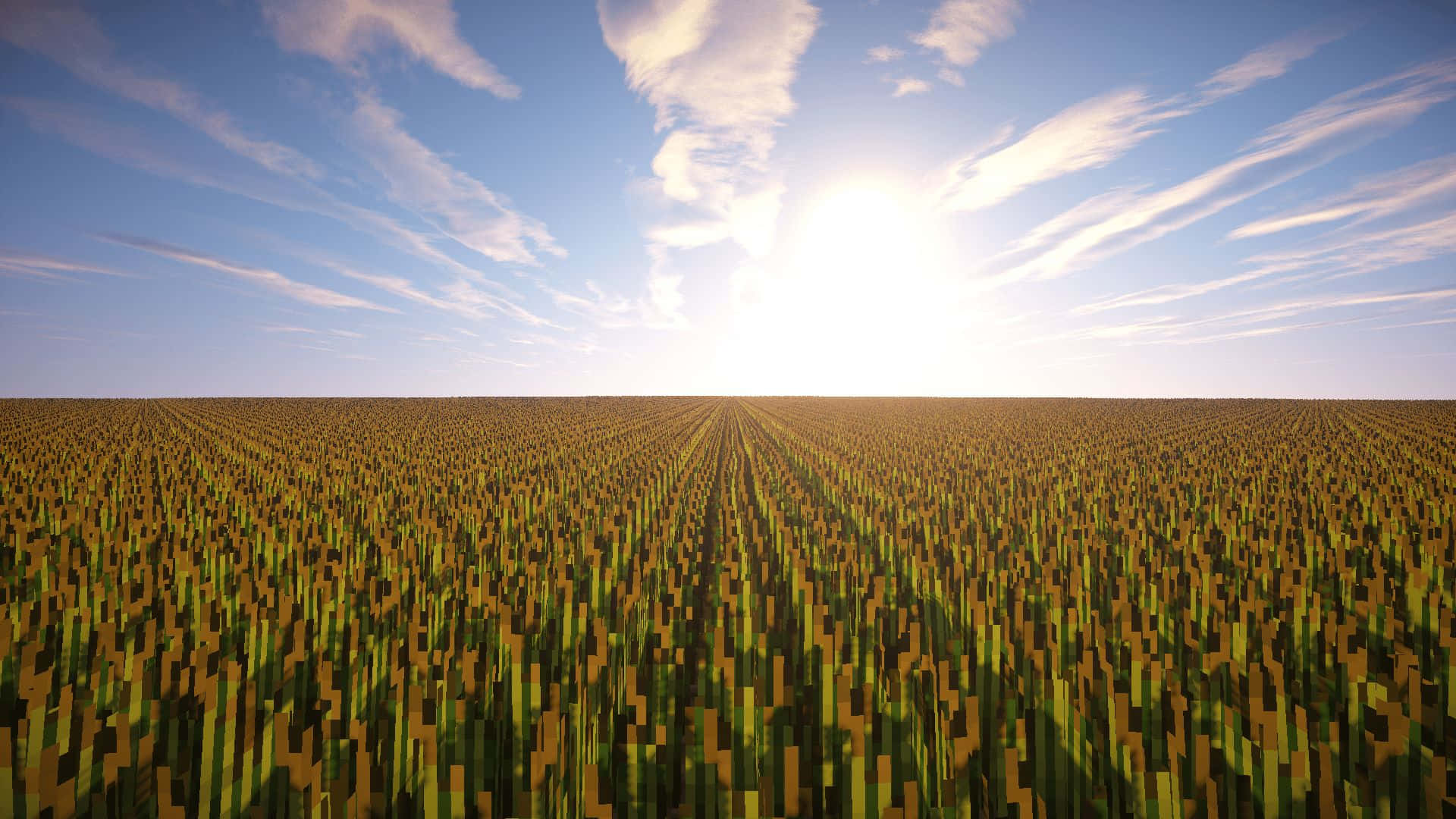 Sunrise Over Wheat Field Background