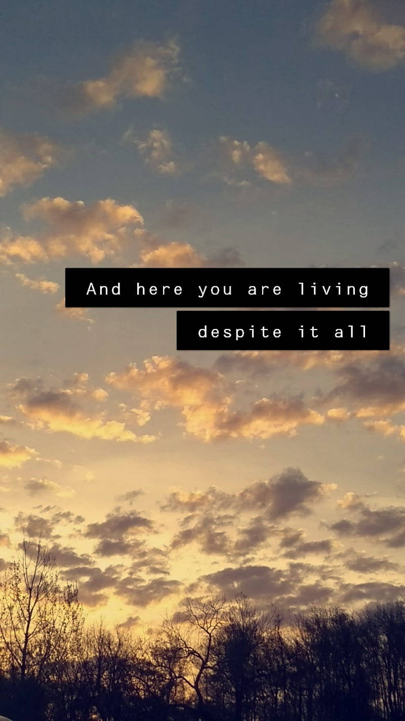 Sunset Aesthetic Tumblr Quotes Background
