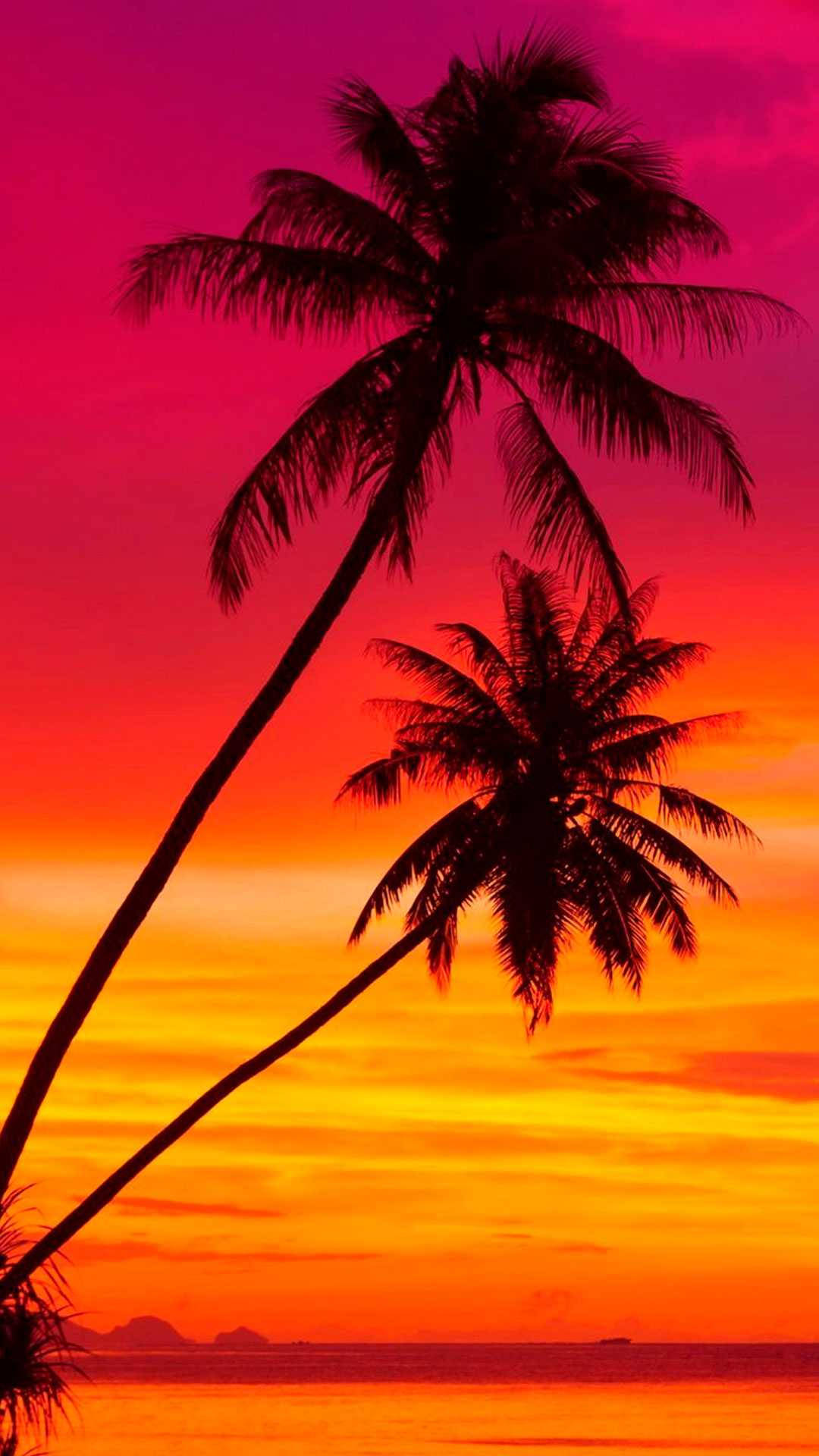 Sunset And Palm Trees Malibu Iphone Background