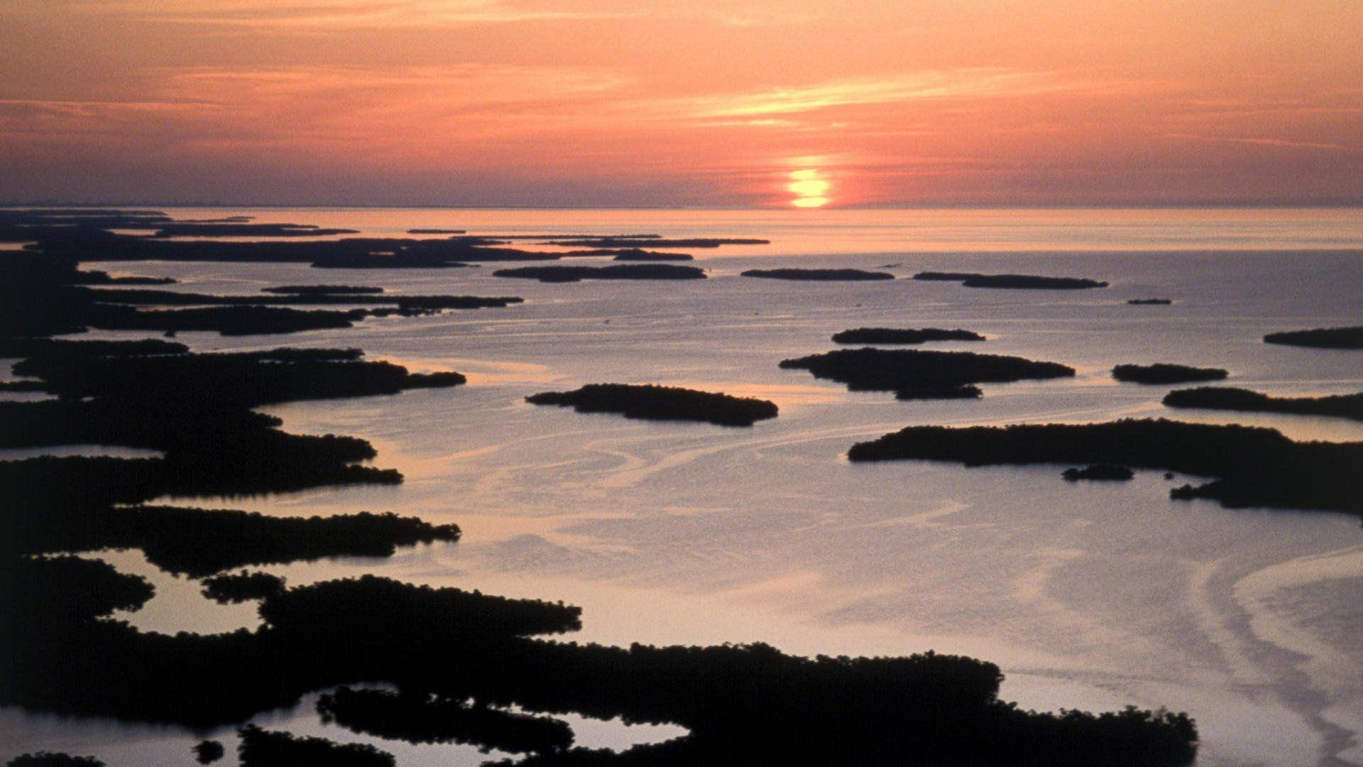 Sunset At Everglades National Park Background