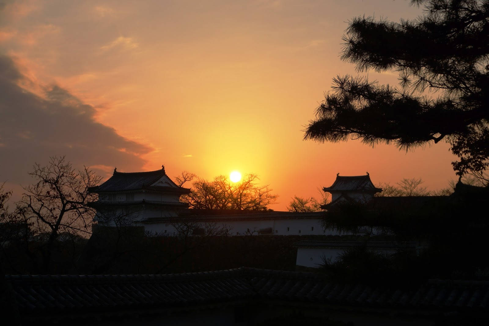 Sunset At Himeji Castle Background