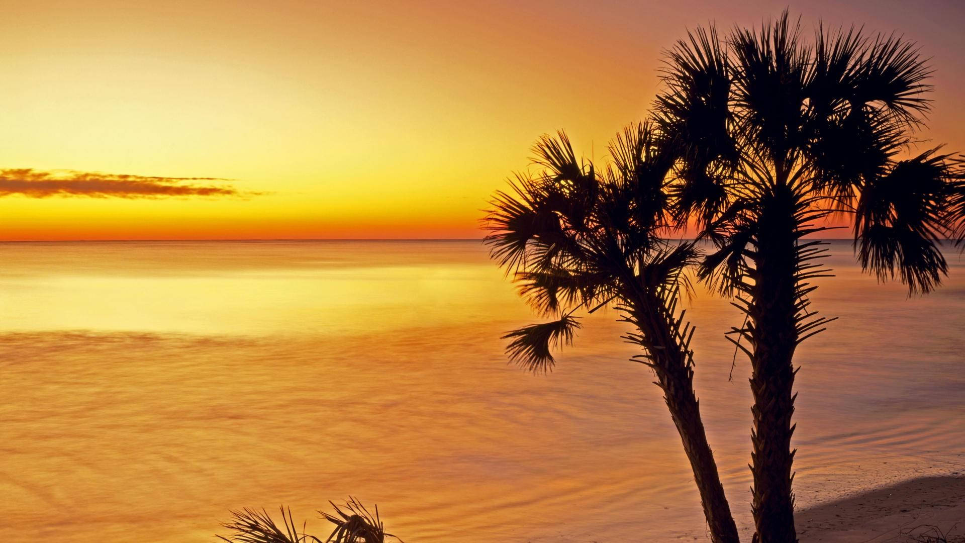 Sunset At South Carolina Beach Background