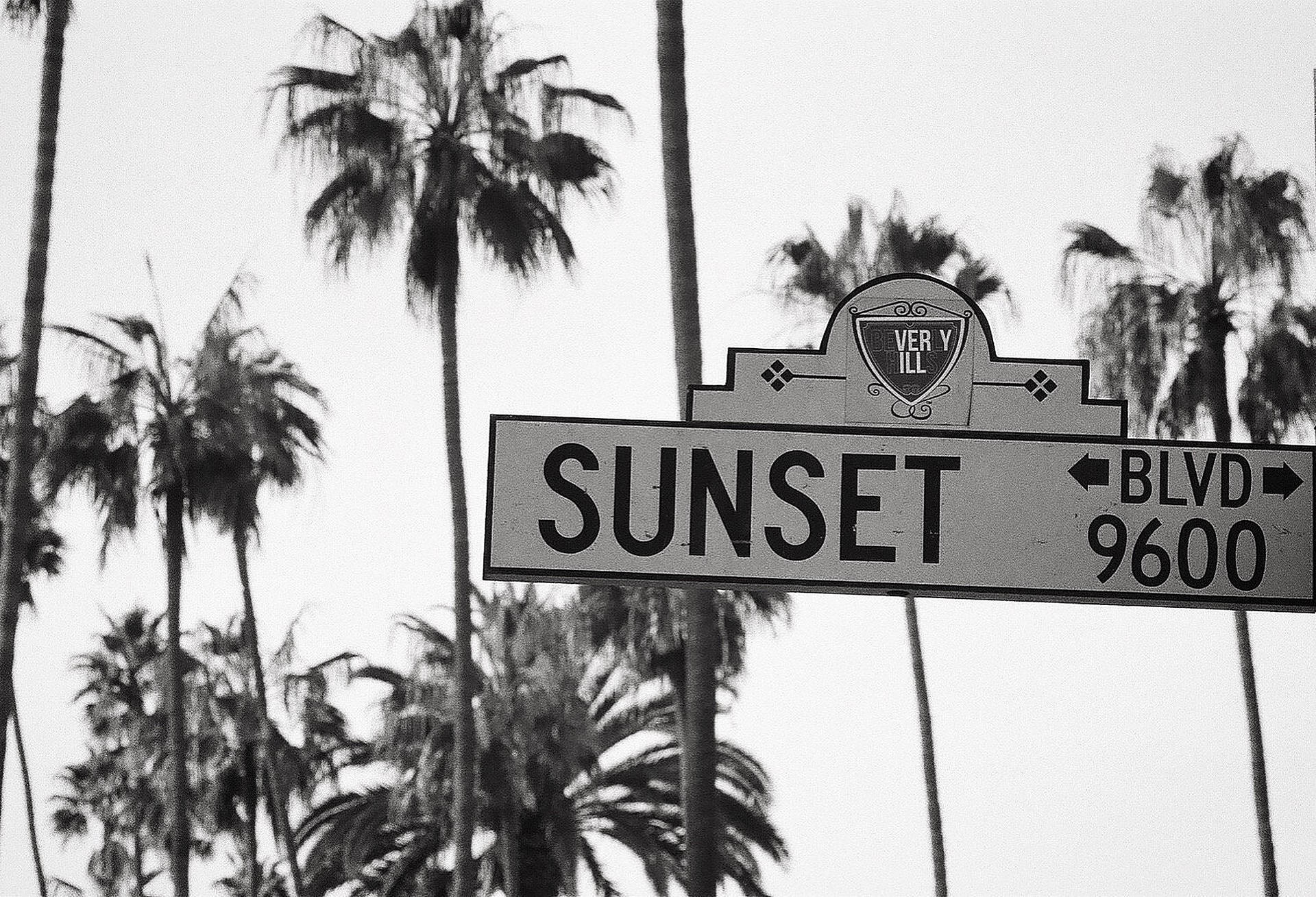 Sunset Boulevard Black And White