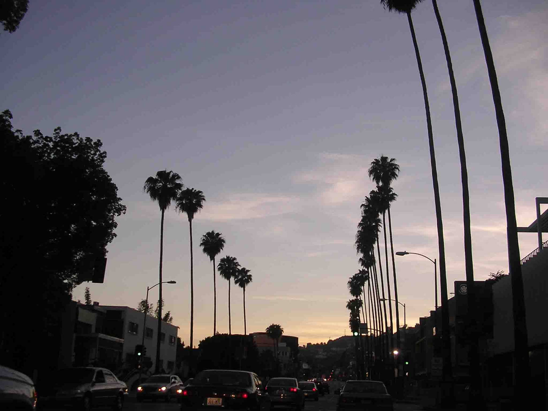 Sunset Boulevard Light Purple Sky Background