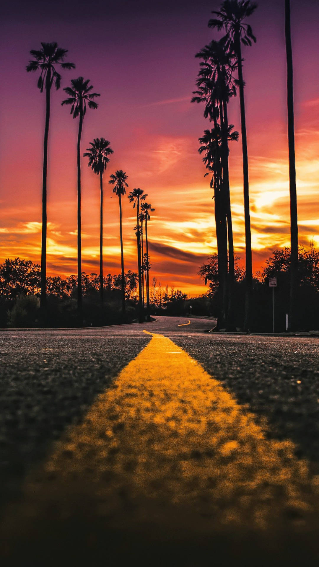 Sunset Boulevard Road Portrait Background