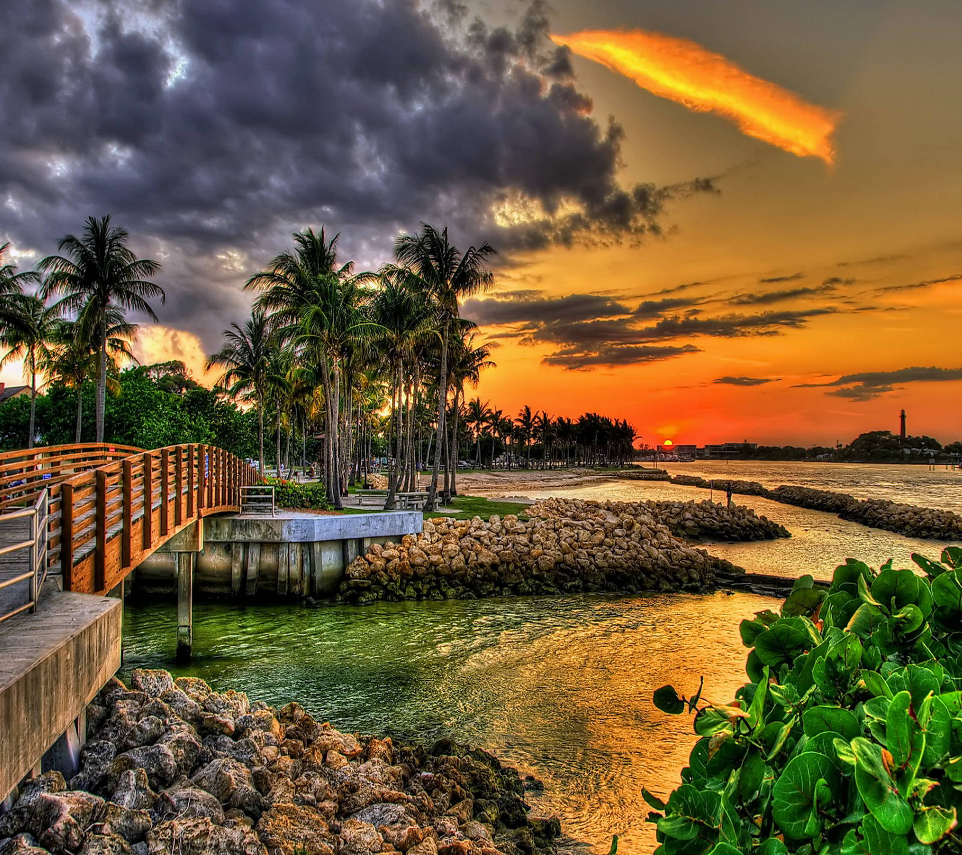 Sunset By The Bridge Tropical Desktop