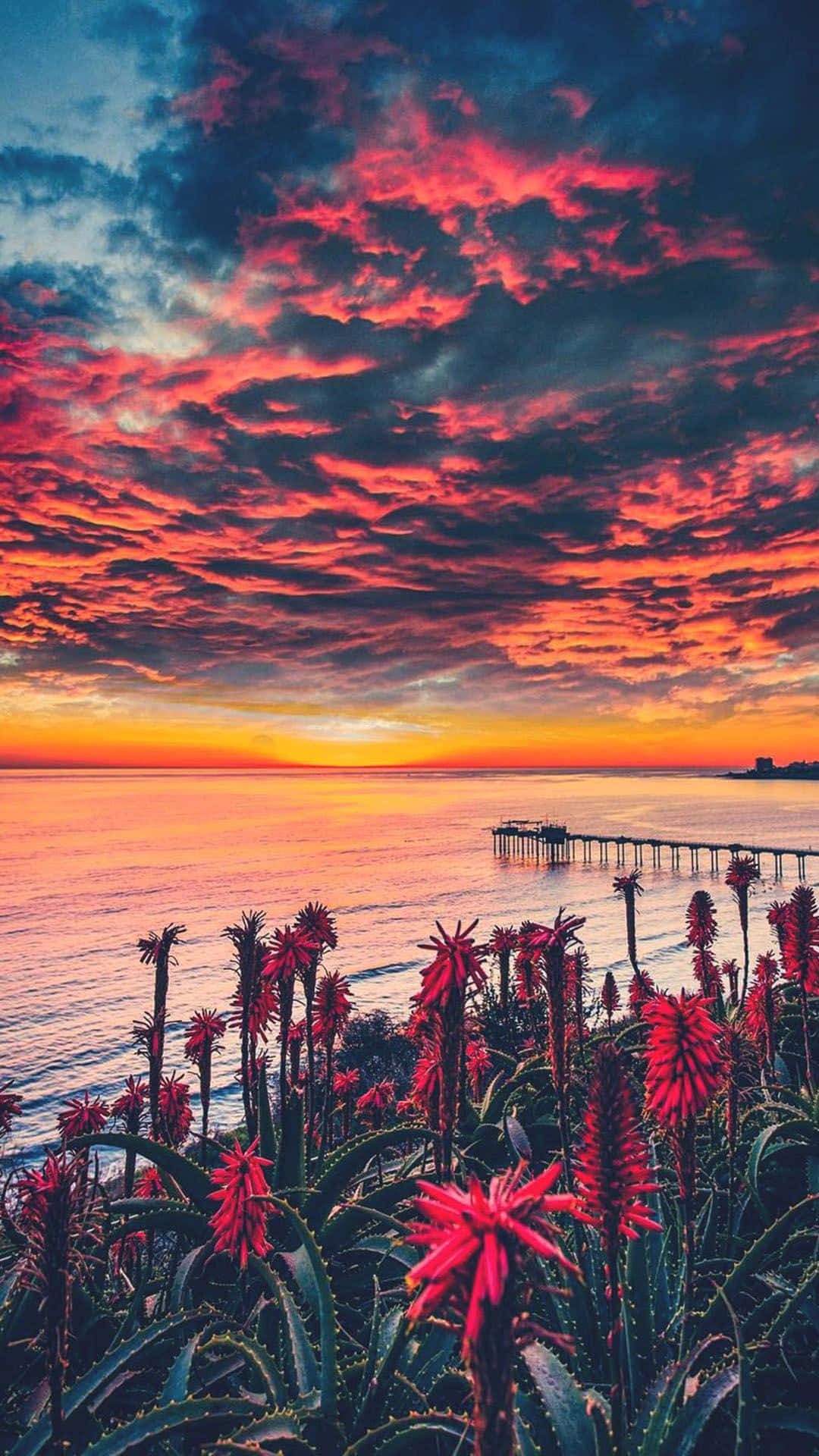 Sunset Cloud In San Diego Iphone Background