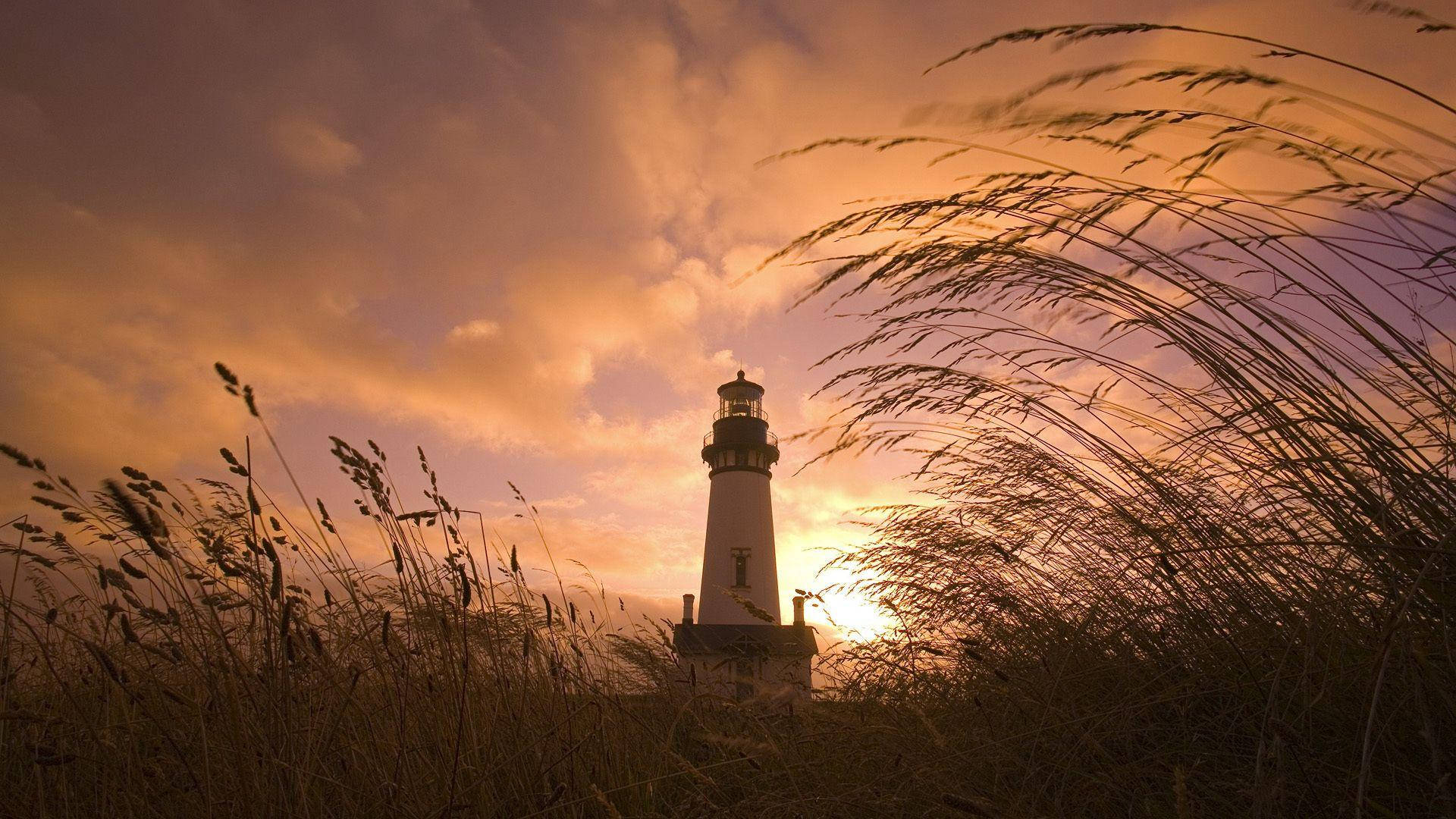 Sunset Field Lighthouse Background