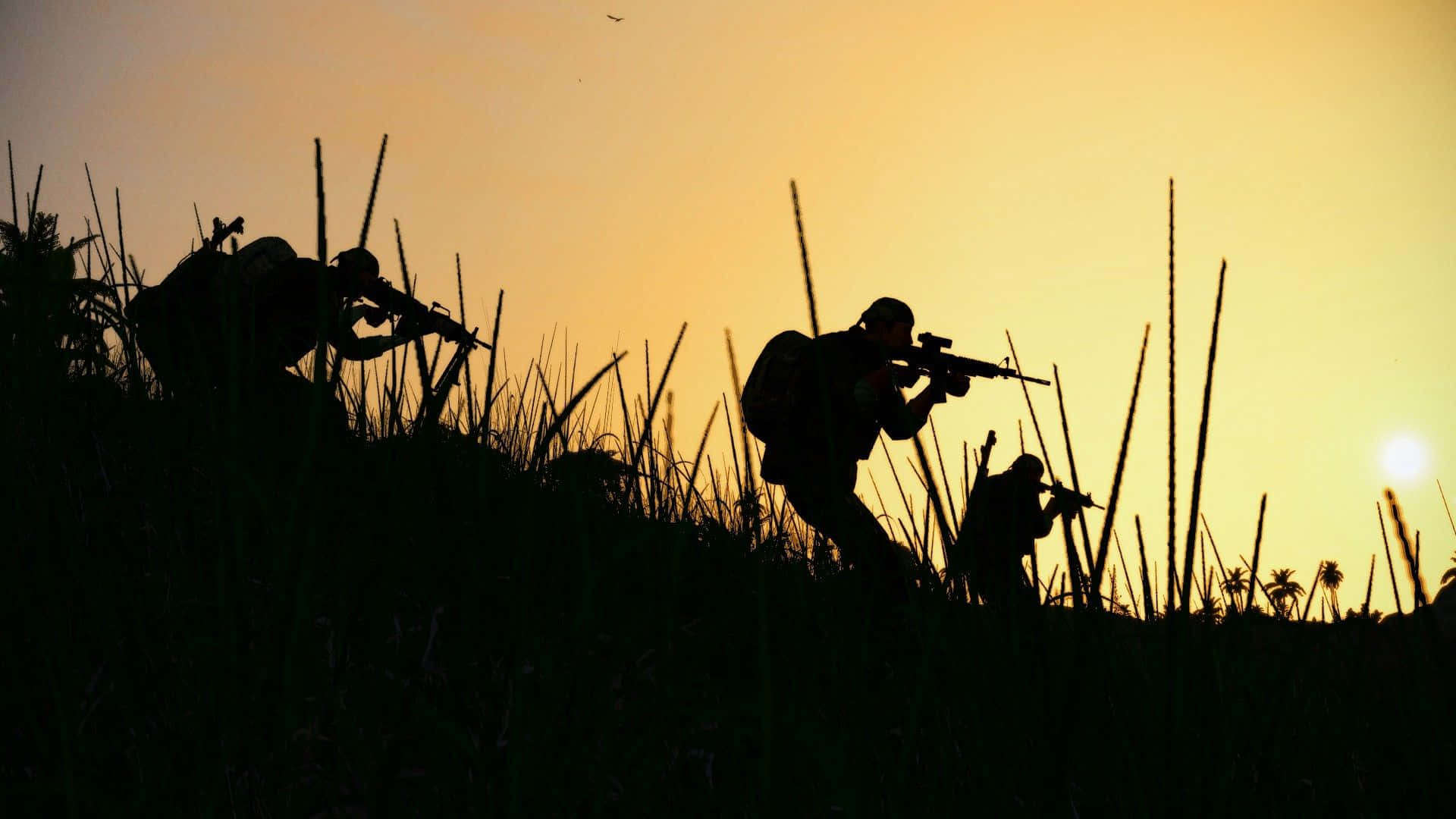 Sunset Grass Silhouette Military Desktop
