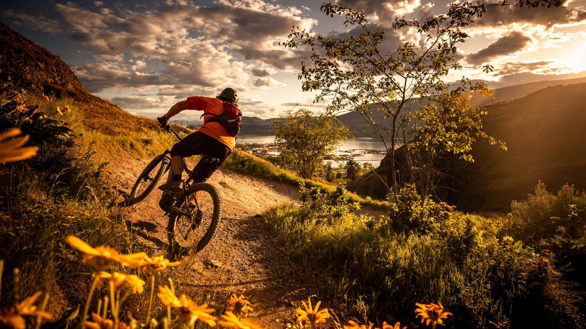 Sunset Hillside Mountain Biking Background