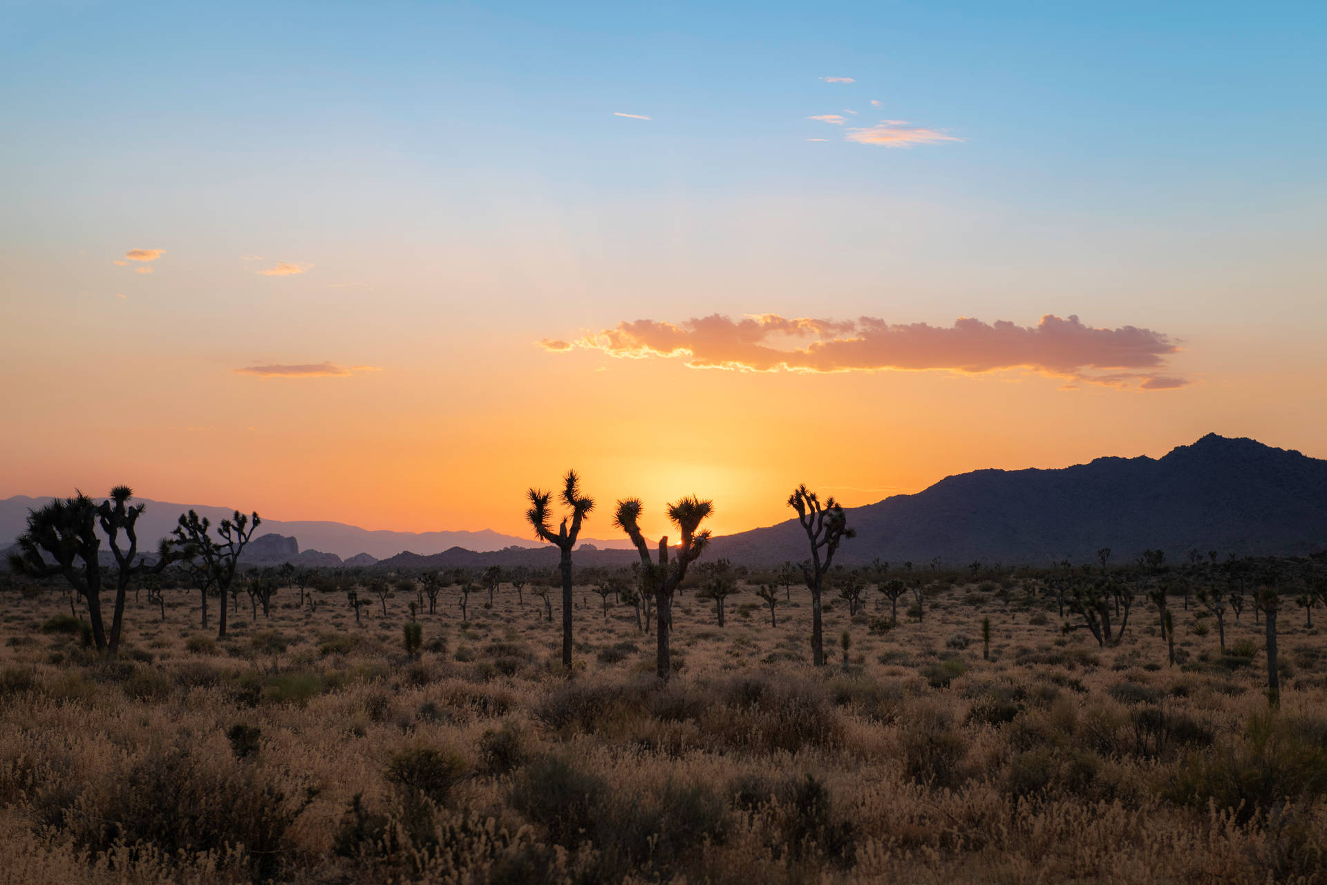 Sunset In The Desert Background