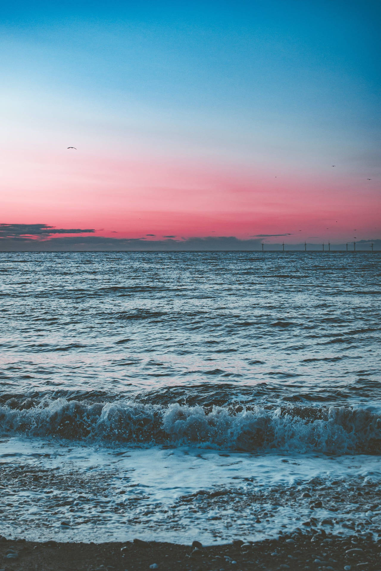 Sunset Ocean Pink Blue Sky Background