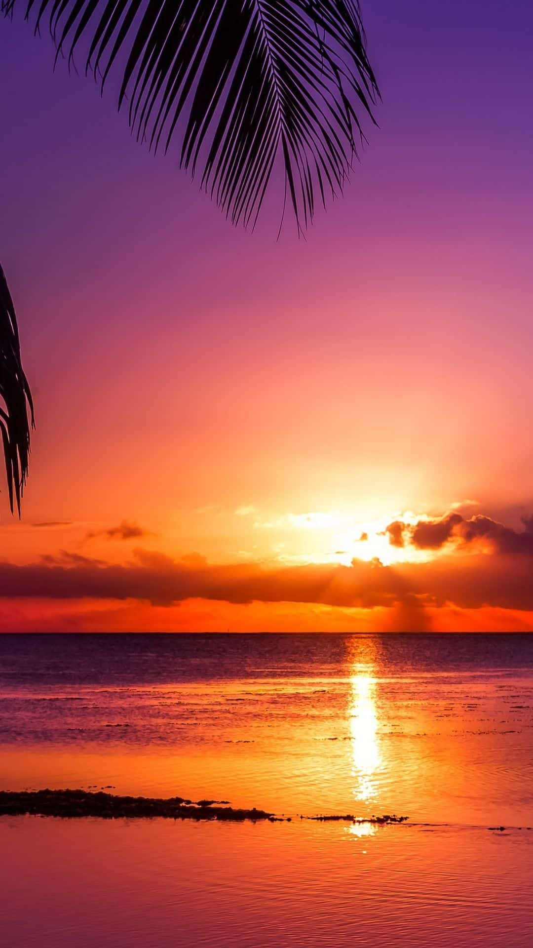 Sunset Ocean Tropics