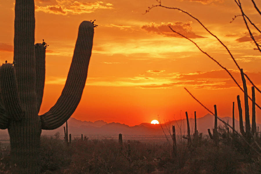 Sunset On Tucson Desert Background