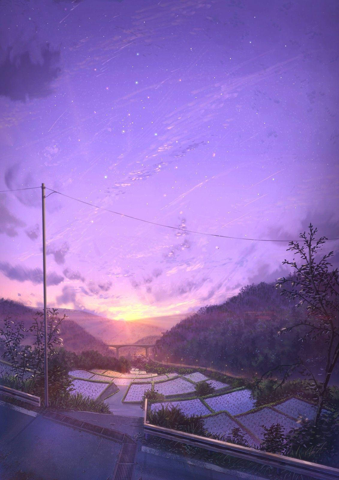 Sunset Over A Field Aesthetic Anime Scenery Background