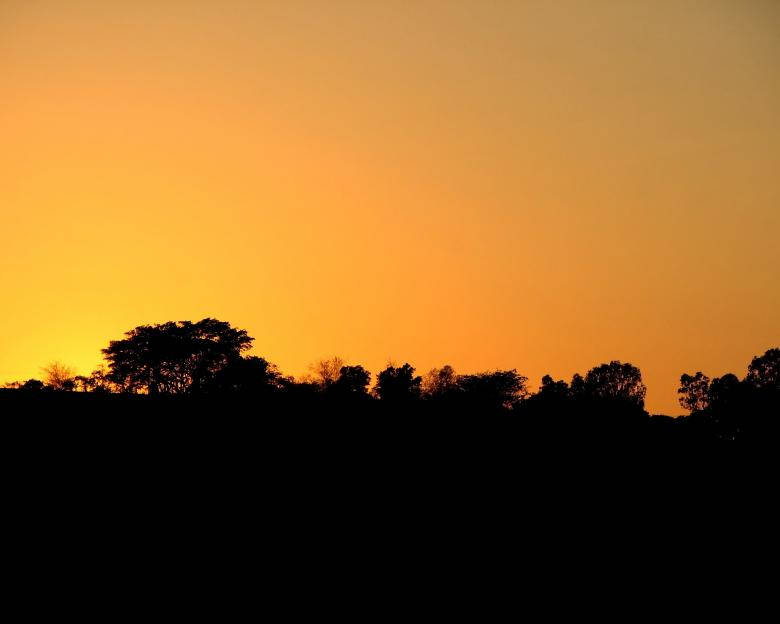 Sunset Over Dark Forest Iphone Background