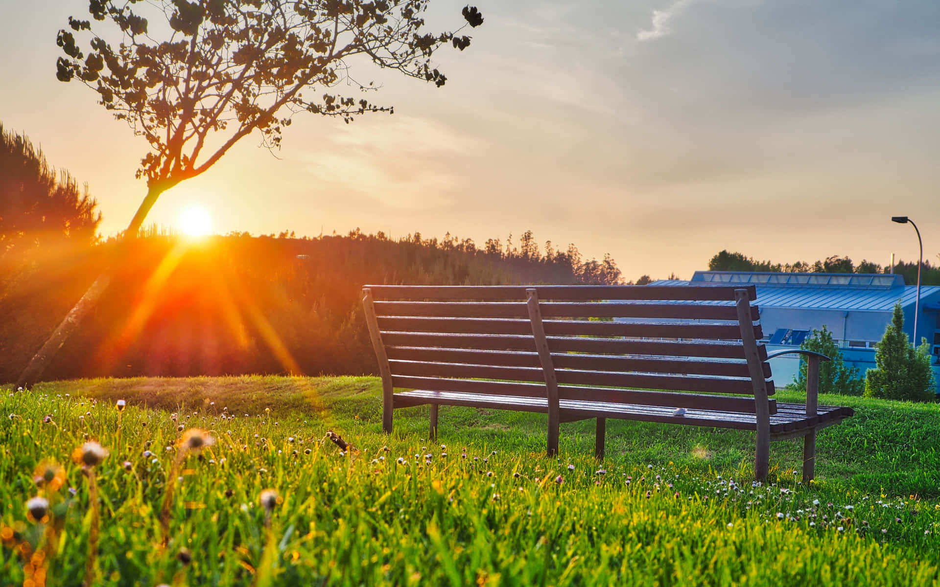 Sunset Park Bench Summer4 K Ultra Wide Background