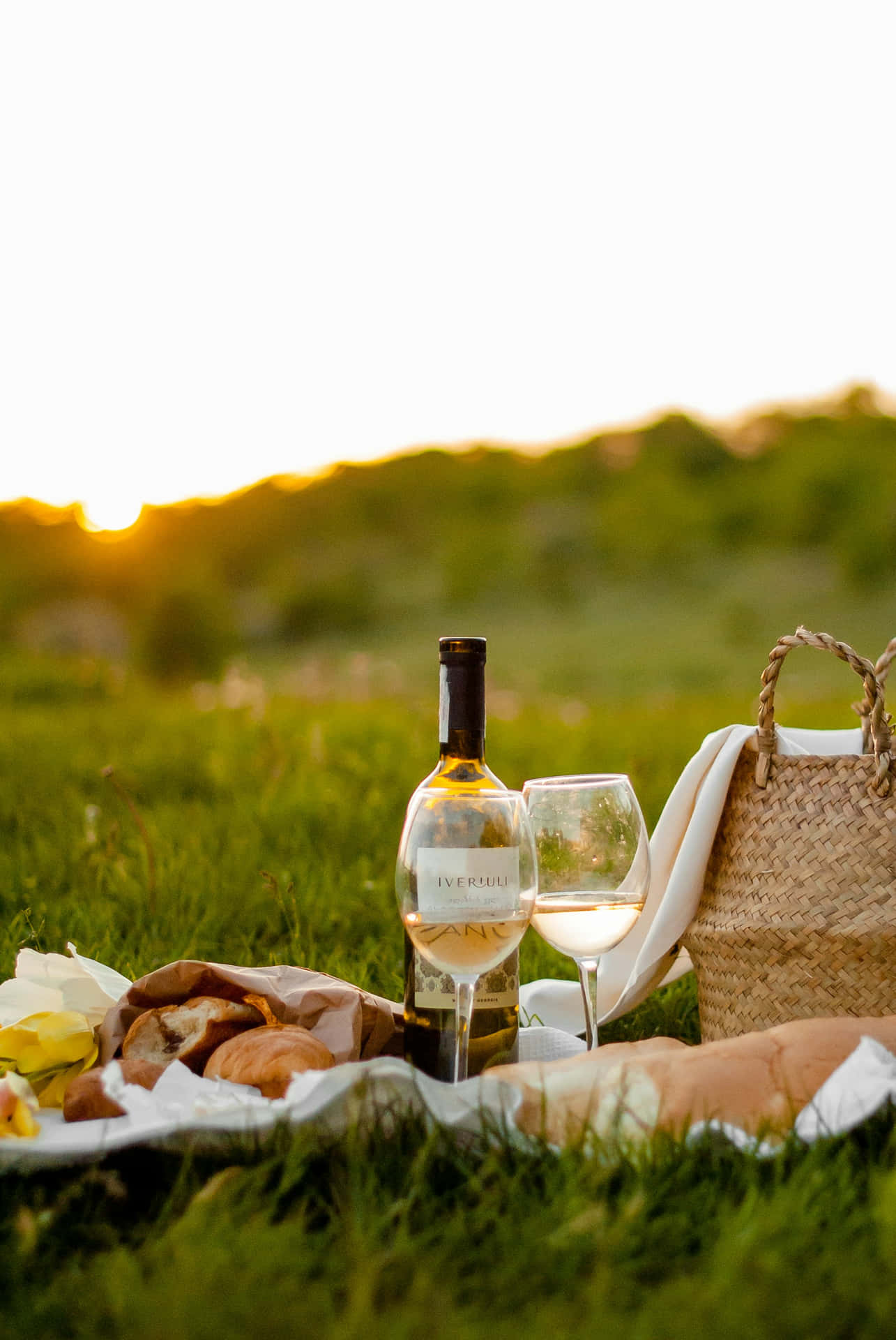 Sunset Picnic Scene.jpg Background