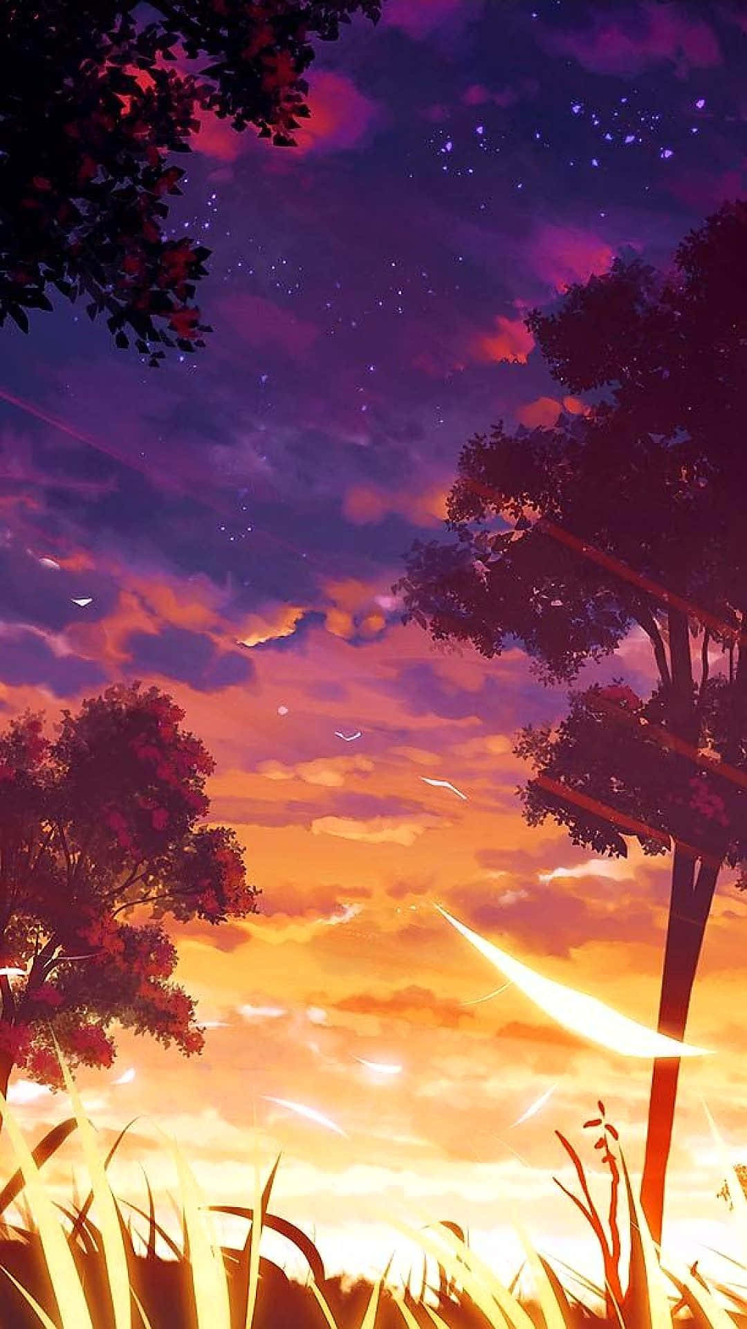 Sunset Silhouette Beautiful Anime Scenery Phone