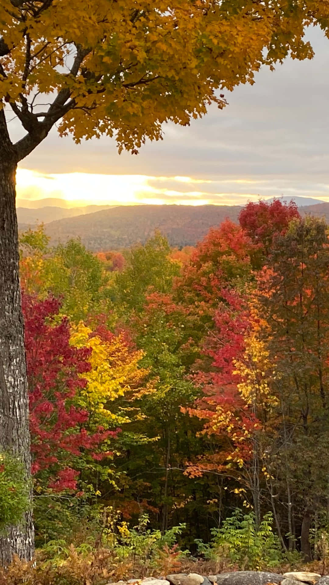 Sunset Sky Early Fall Background