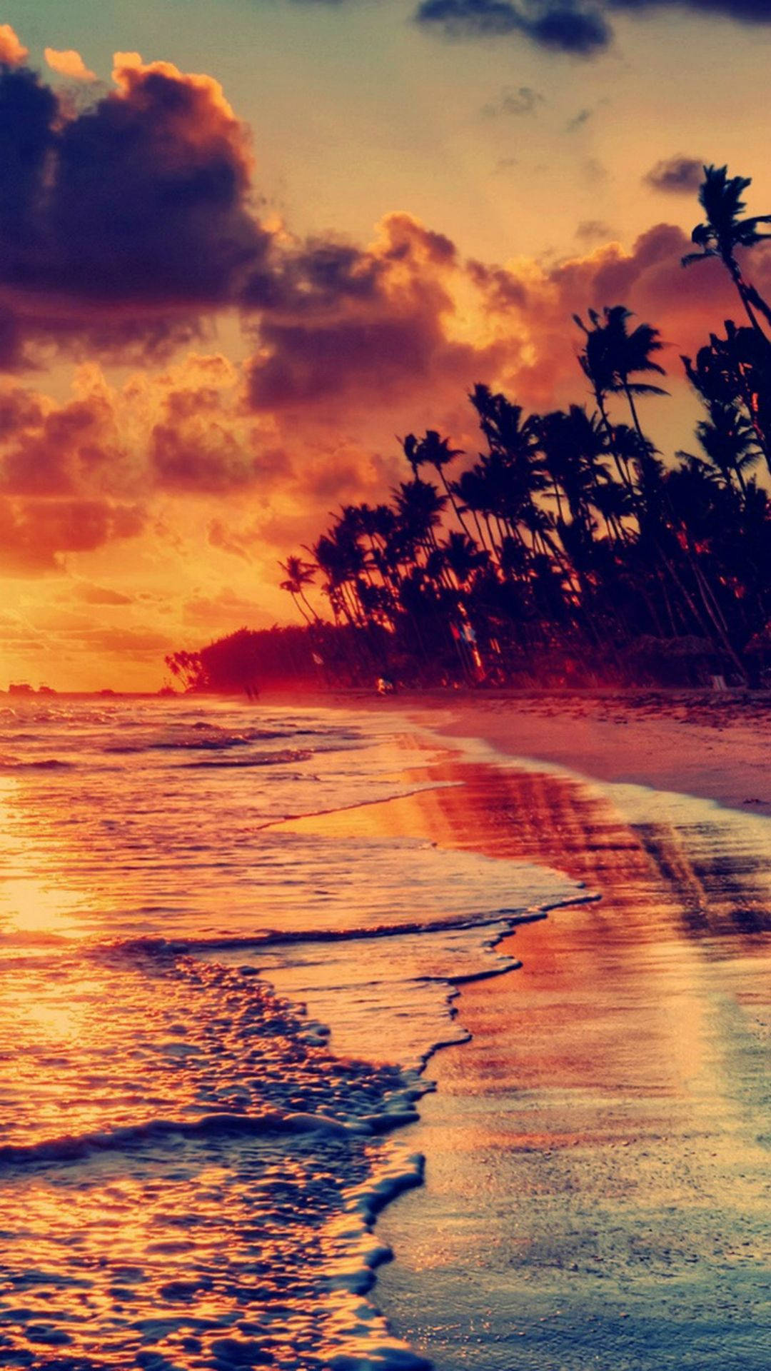Sunset View Beach Shoreline Iphone Background