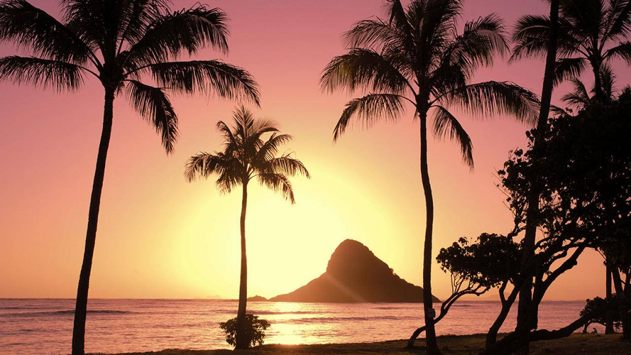 Sunset With Palm Trees In Oahu Background