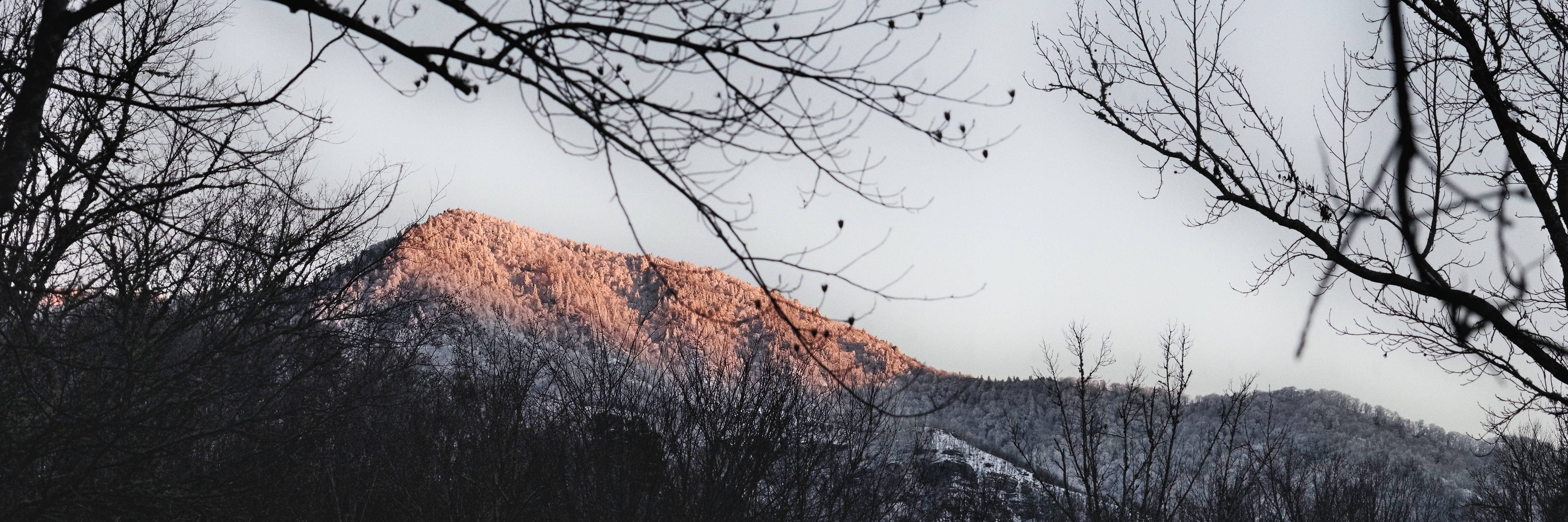 Sunset With Trees On Smoky Mountains