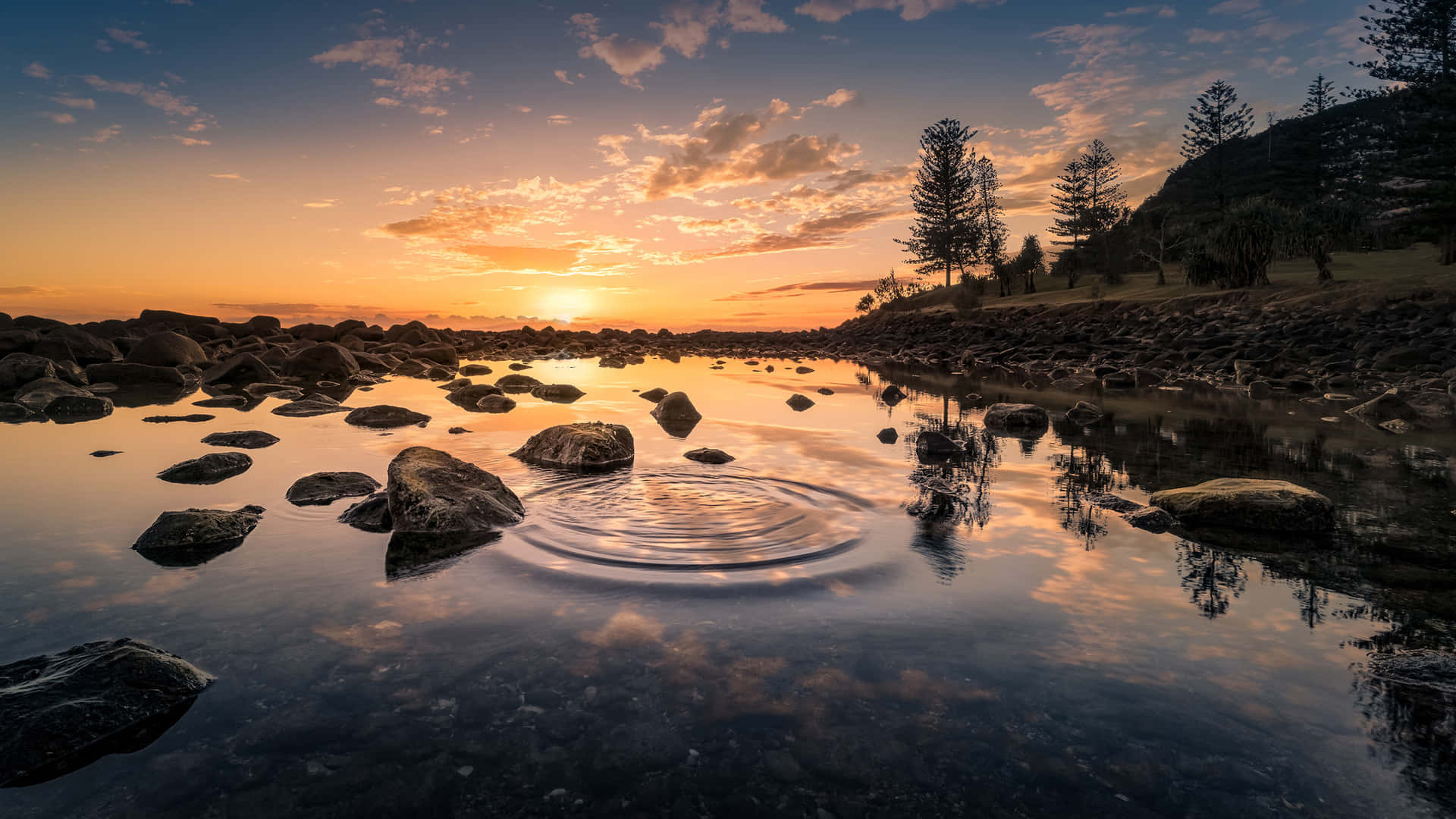 Sunsets Conquers The Pond Background