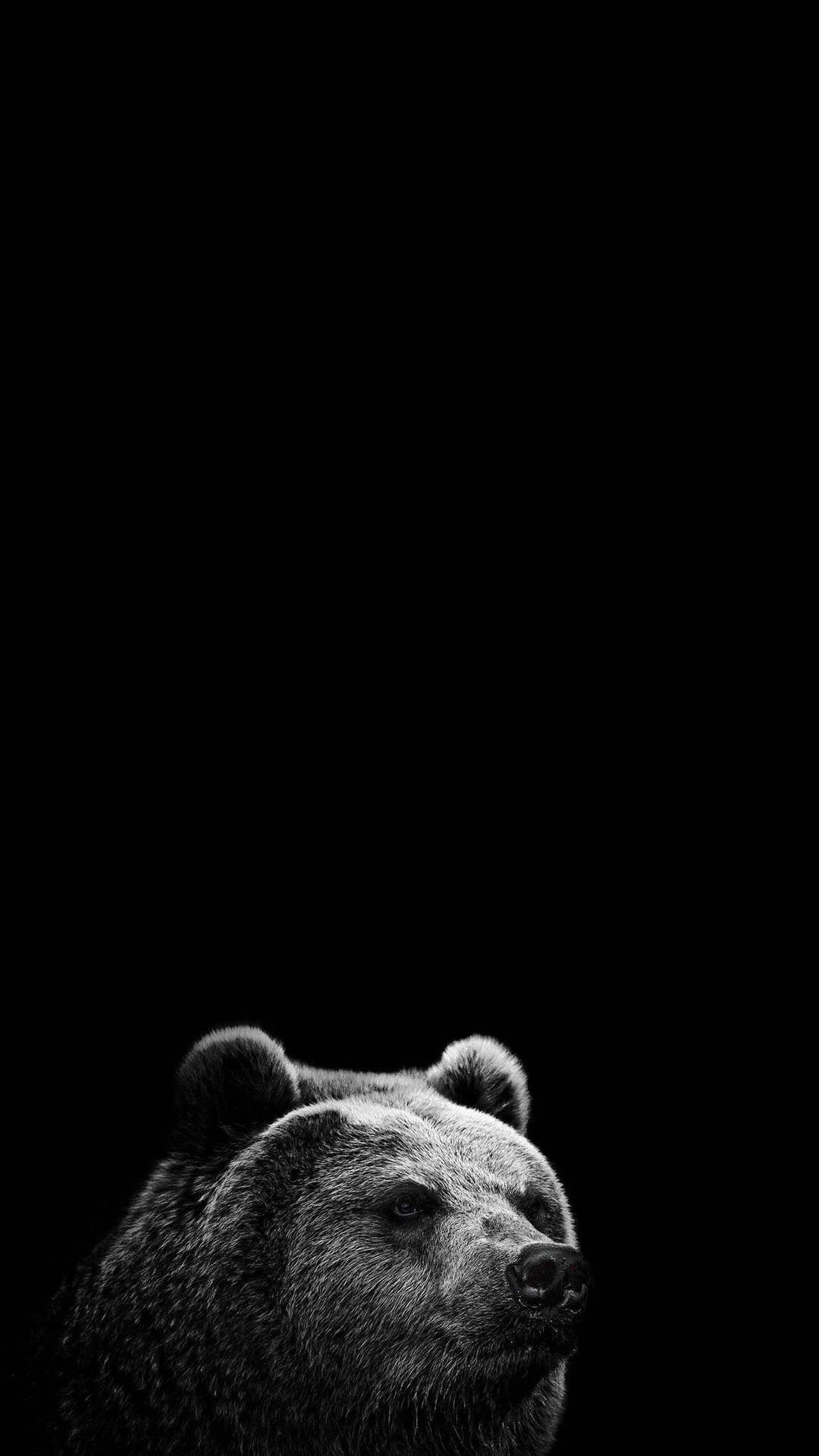 Super Amoled Bear Head Background