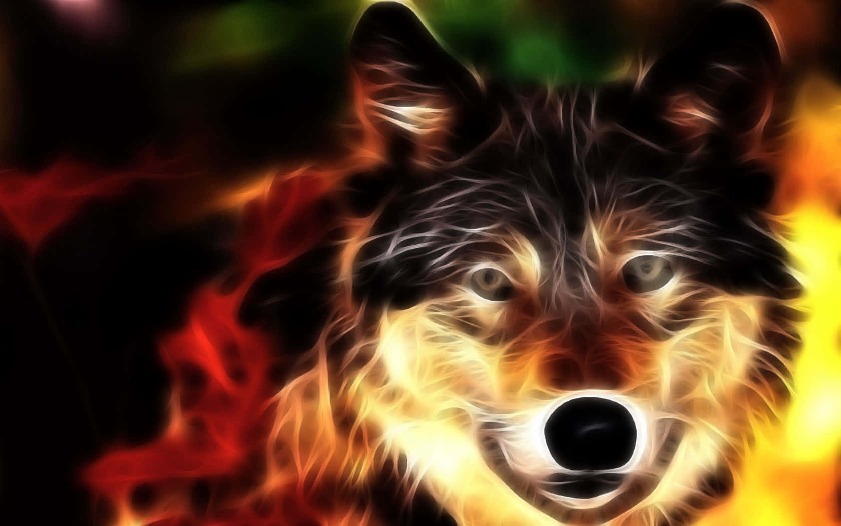 Super Cool Wolf Orange Glow Background