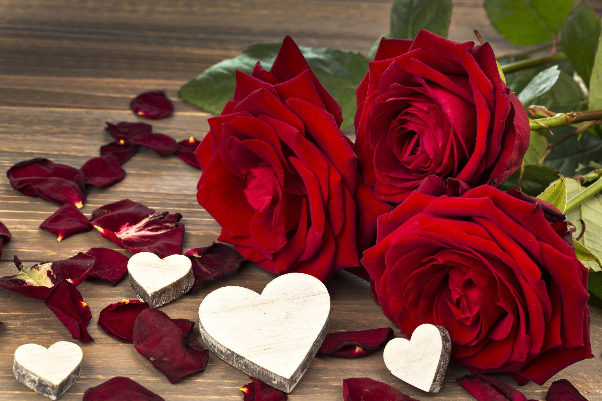Super High Resolution Red Roses Background