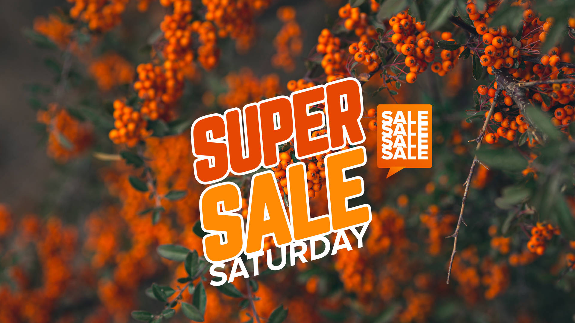 Super Saturday Rowanberries Sale Hustle
