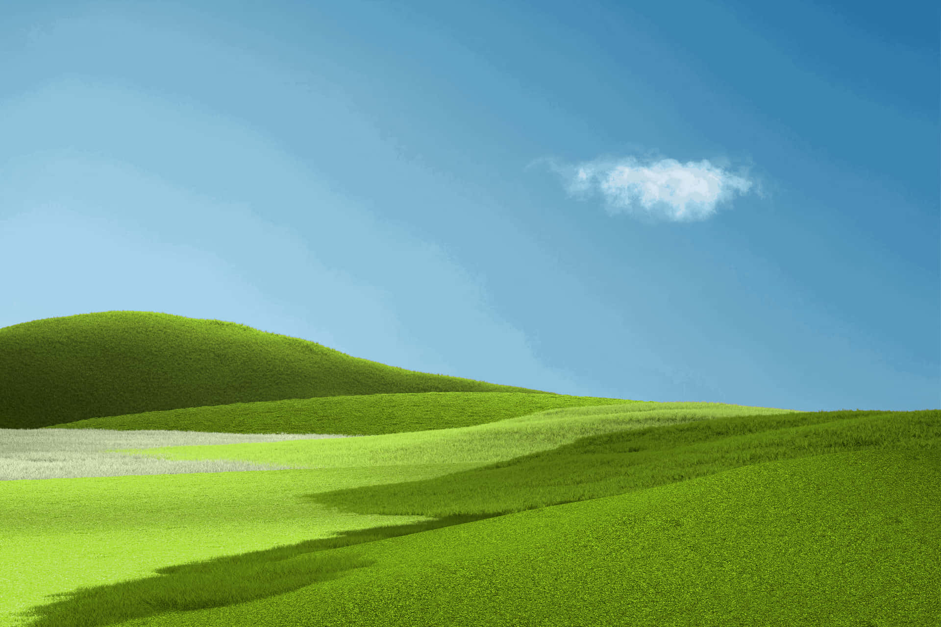 Superficial Green Grass Background