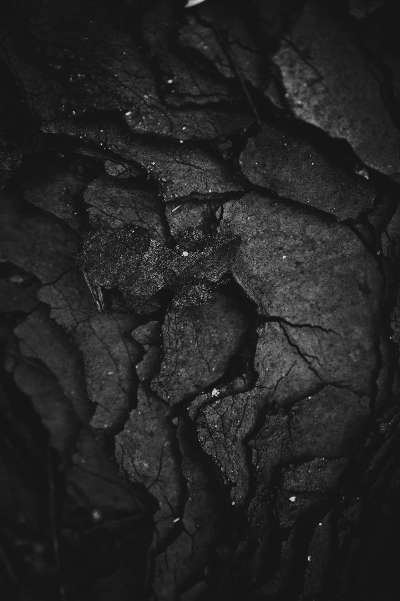 Superficial Stone Fissures Background