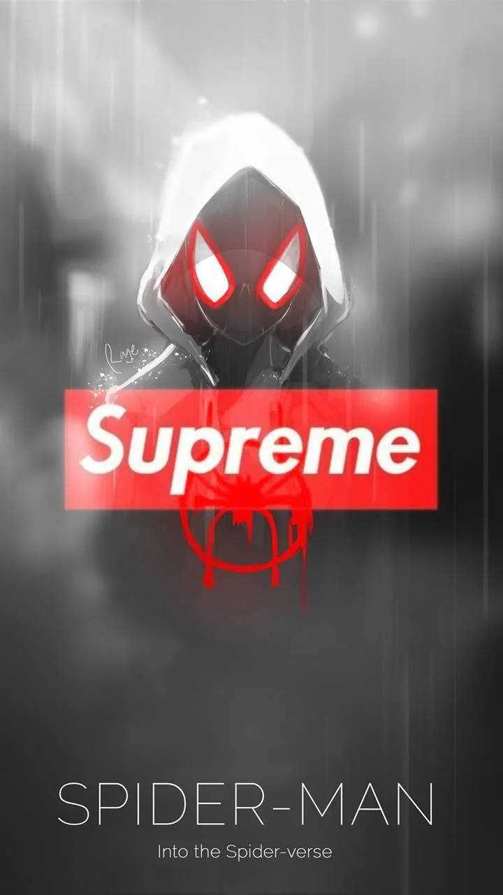 Superhero Supreme Spiderman Miles