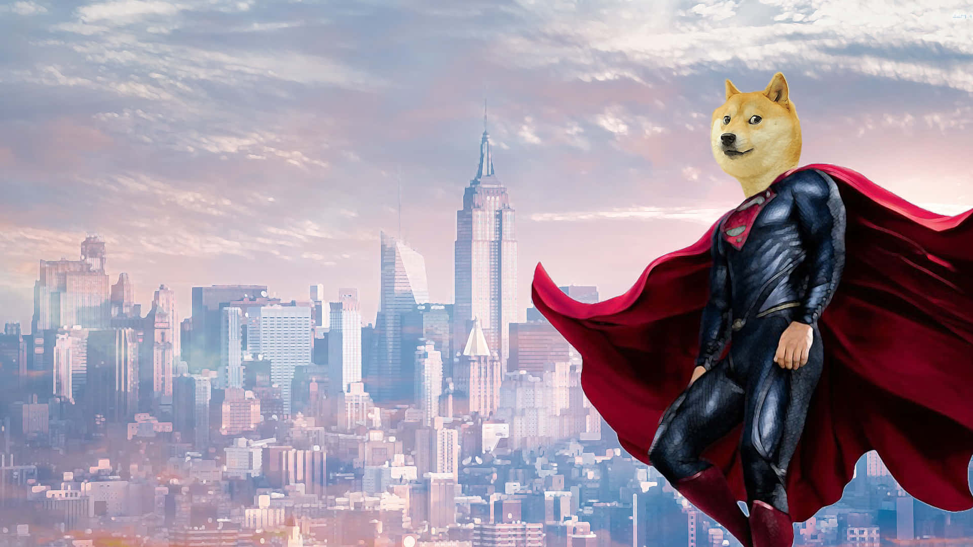 Superman Doge Background