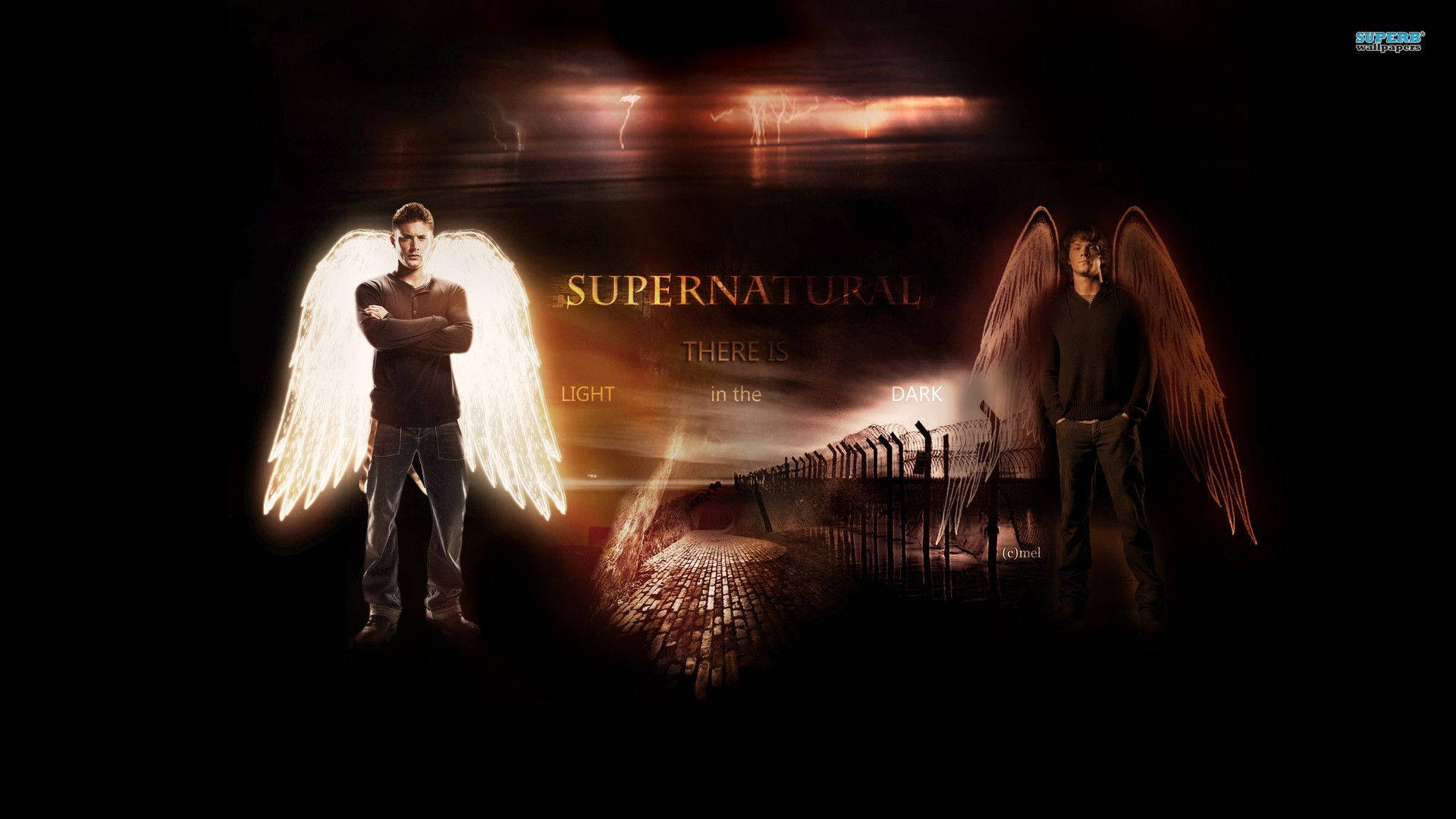 Supernatural Dam And Sam With Wings Background