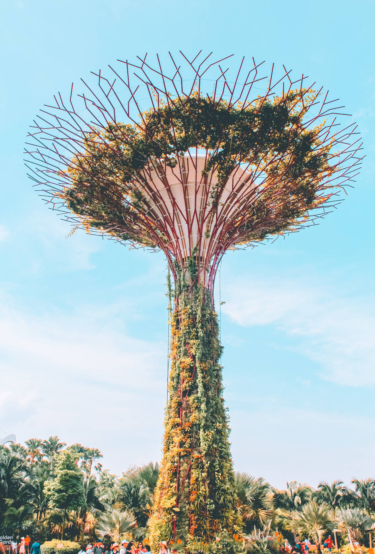 Supertree In Singapore Background