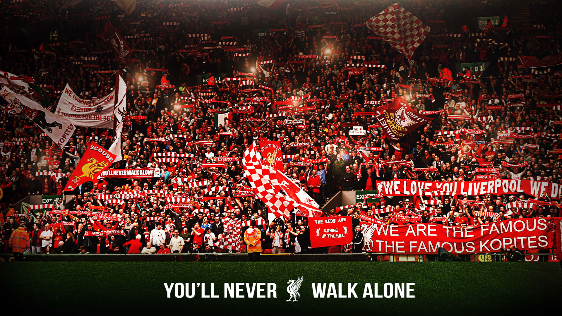 Support The Reds! Background