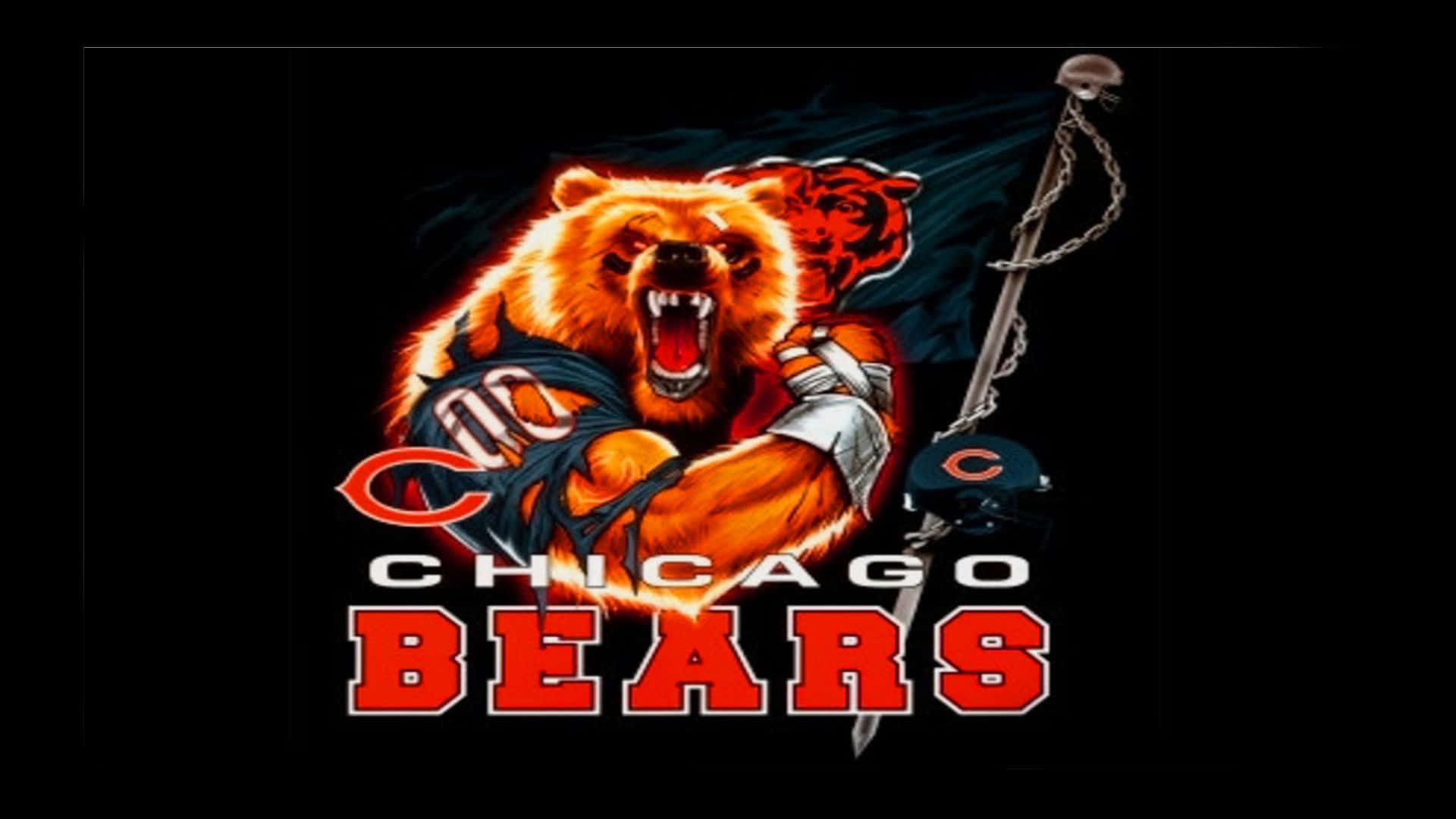 Supporting Our Chicago Sports Teams Background